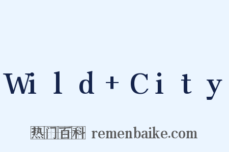 Wild City是什么意思的图片